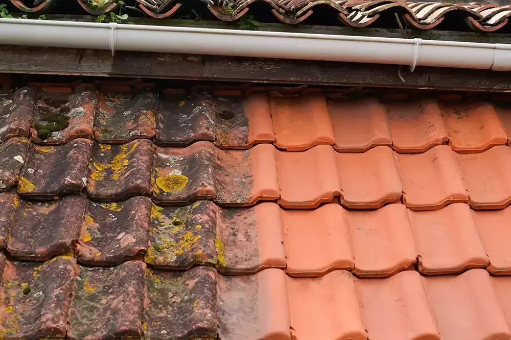 Close-up before and after showing moss removal from roof tiles by Neptune, your trusted choice for roof cleaning in Southampton.